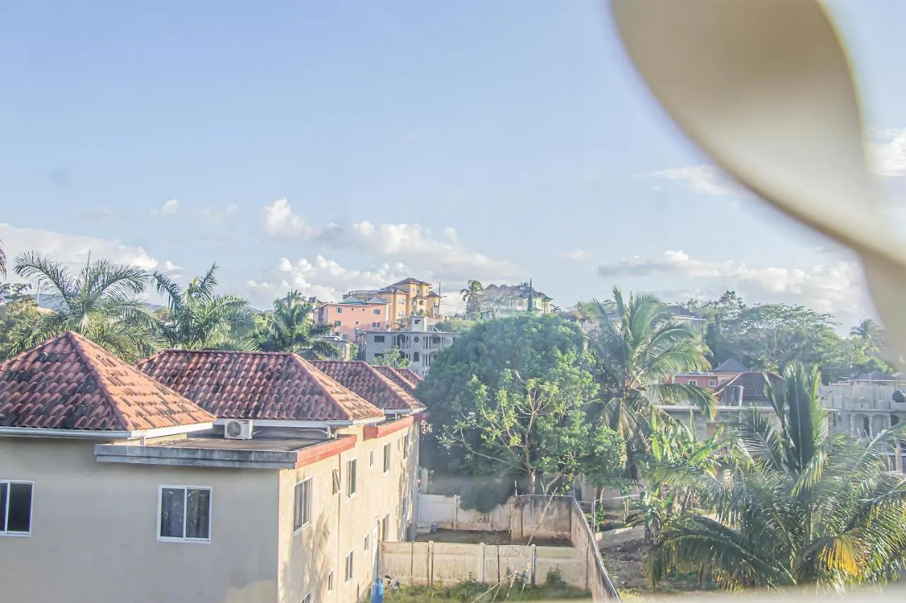 Carnation 156 Apartment Montego Bay